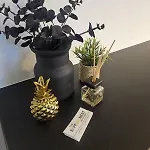 Seppartment